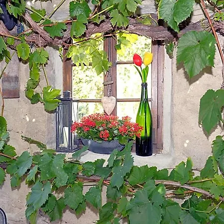 Wein- Und Gaestehaus M. Bai 3*